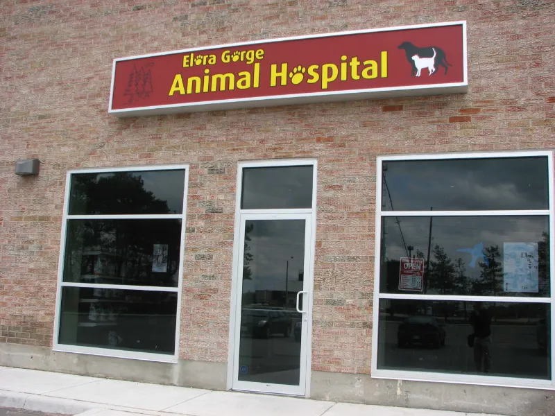 backlit-store-signs-scaled